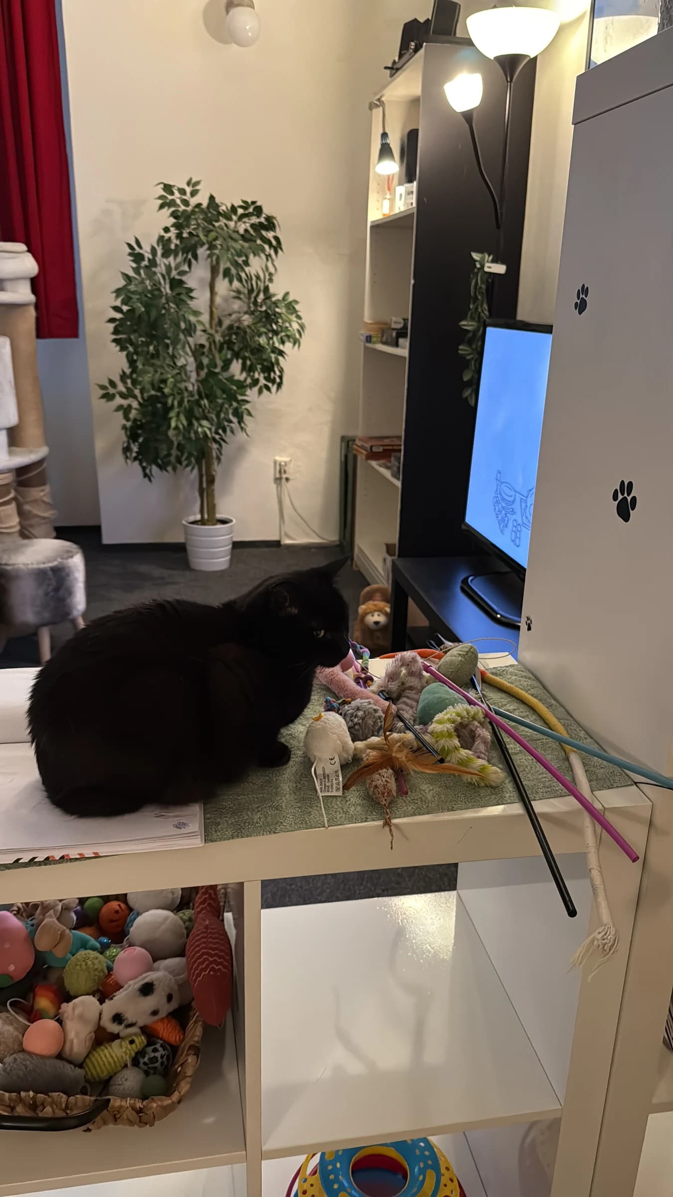 Büşra Yeşil photo 1